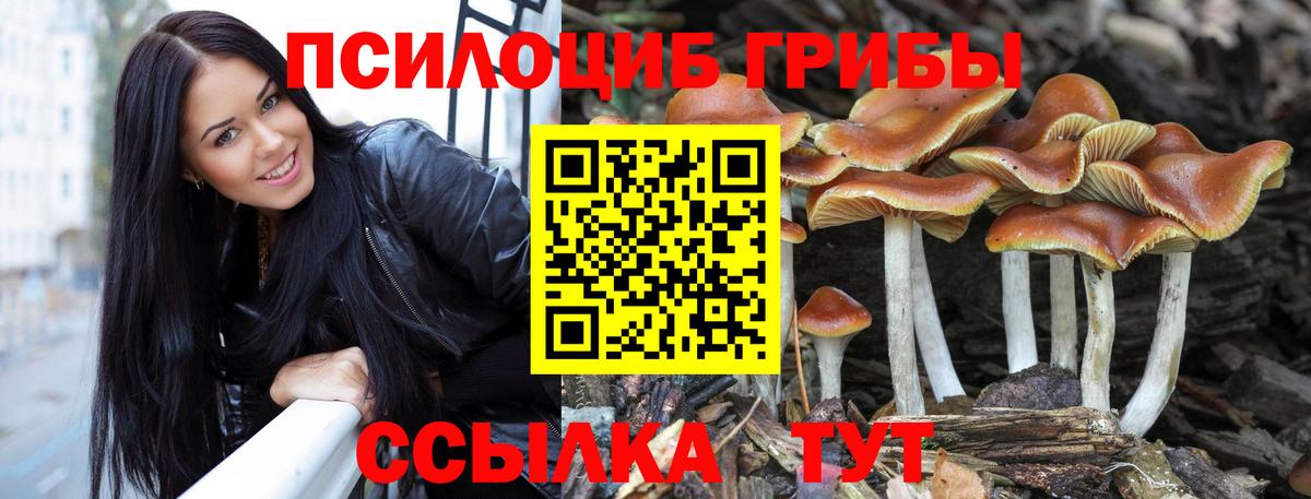 Мелеуз  Галлюциногенные грибы Cubensis  Вход с VPN 